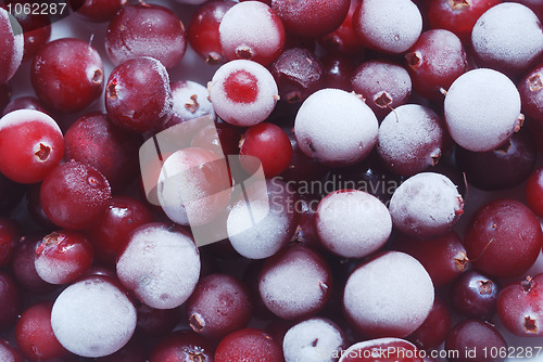 Image of red cranberries