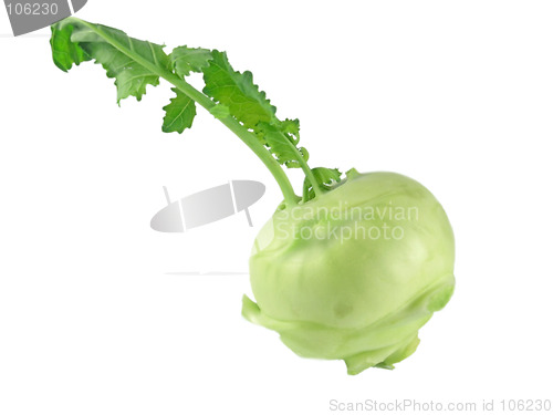 Image of fresh and sweet kohlrabi