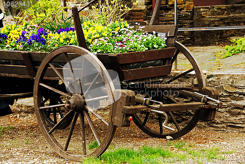 Image of Flower cart