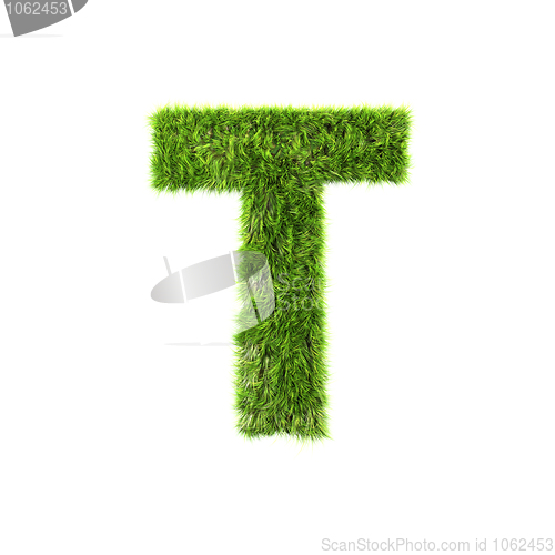 Image of Grass letter