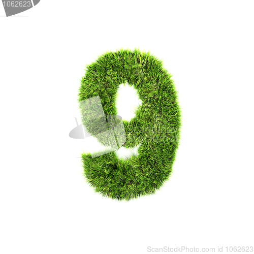 Image of grass number