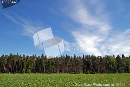 Image of Field, Forest and Sky Landscape