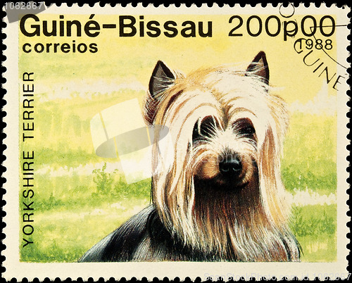 Image of Yorkshire Terrier dog stamp.