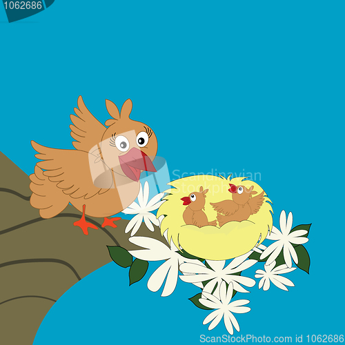 Image of Bird family
