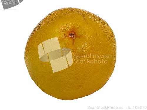 Image of grapefruit