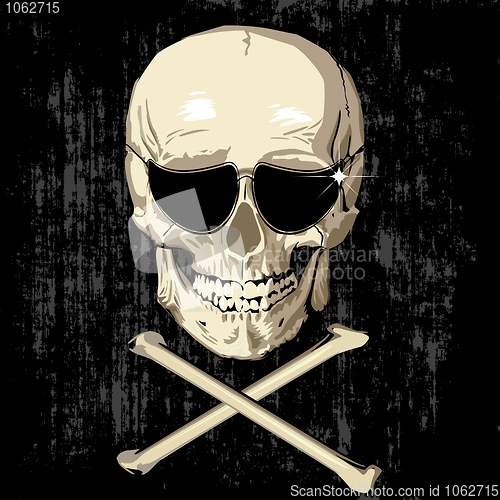 Image of scarry humas skull
