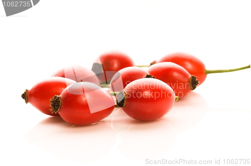 Image of rose hips isolated on the white