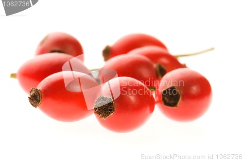 Image of rose hips isolated on the white