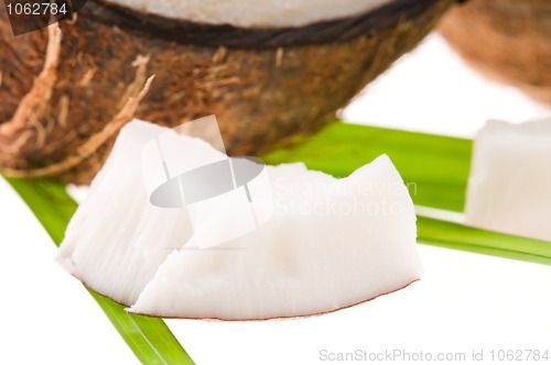 Image of coconut