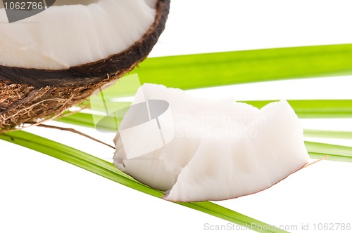 Image of coconut