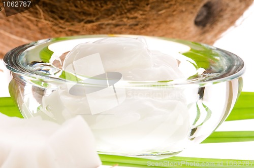 Image of Coconut and coconut oil