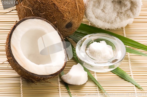 Image of Coconut and coconut oil