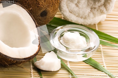 Image of Coconut and coconut oil