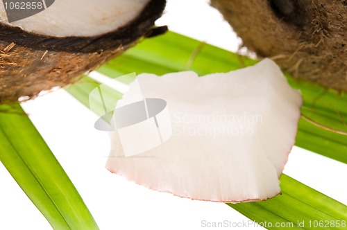 Image of Coconut and coconut oil 