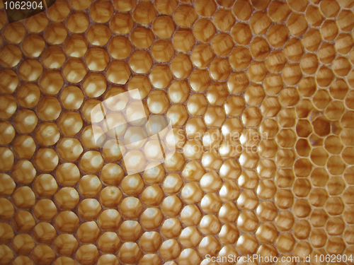 Image of beeswax background