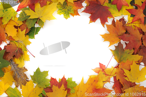 Image of color autumn leaves as frame
