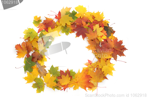 Image of color autumn leaves as frame