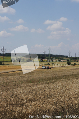 Image of golden corn and open country