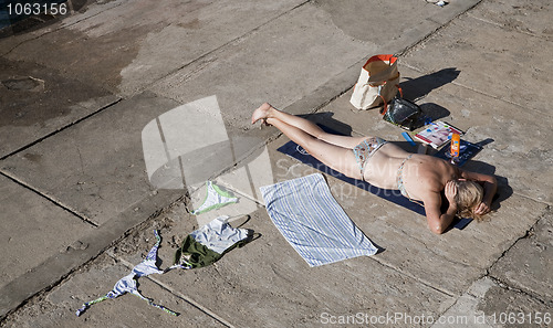 Image of Concrete sunbathing