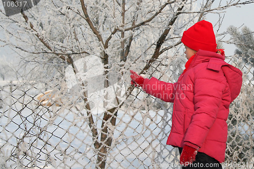 Image of Near the fence