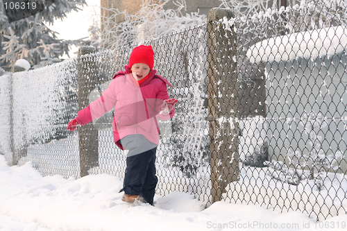 Image of Near the fence