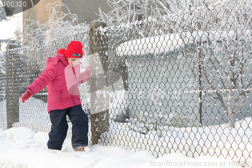 Image of Near the fence