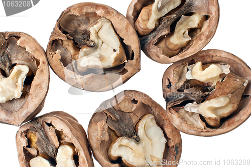 Image of Walnuts in closeup 