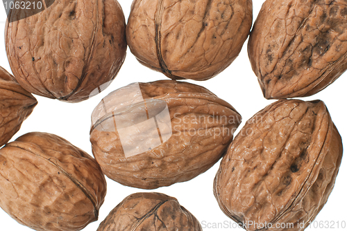 Image of Walnuts in closeup 