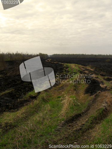 Image of Grassland Fire