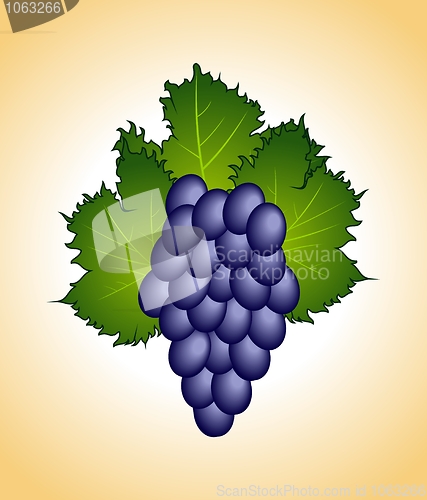 Image of clous-up purple grape isolated