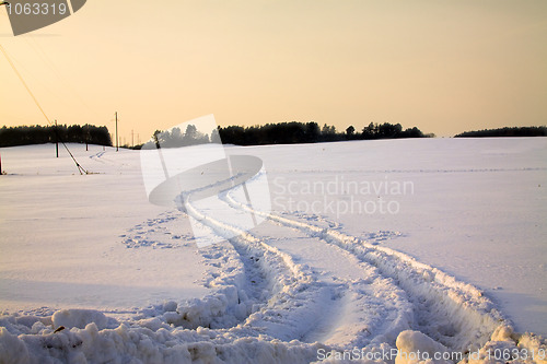 Image of Traces on snow