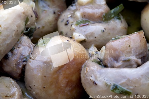 Image of Mushroom tapas macro