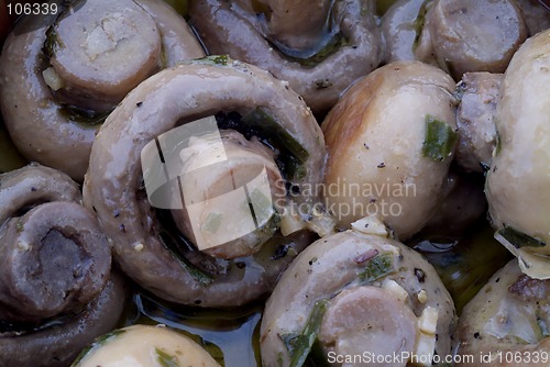 Image of Mushroom tapas macro