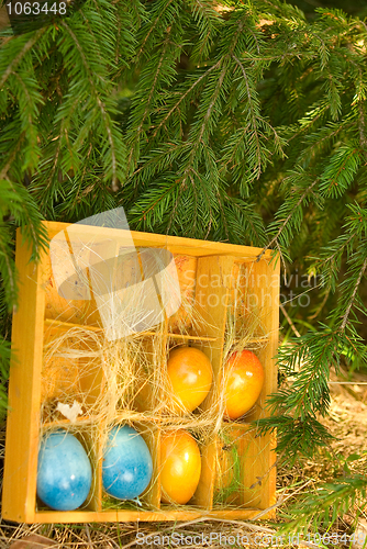 Image of Colored Easter Eggs
