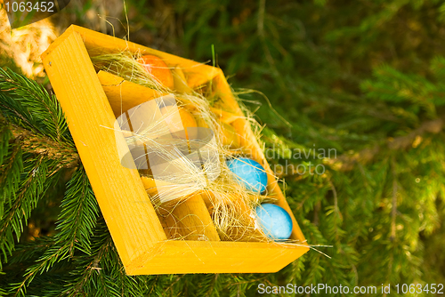 Image of Colored Easter Eggs