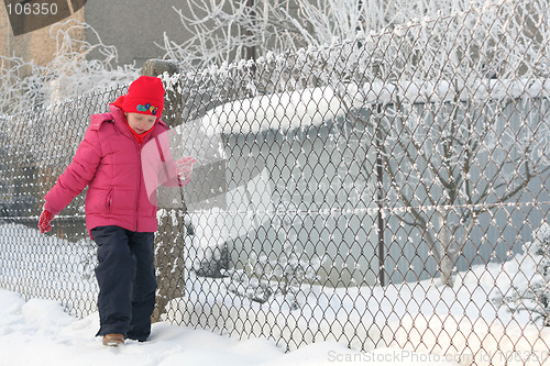 Image of Near the fence