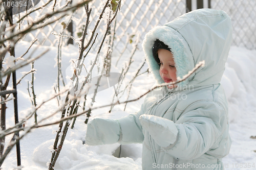 Image of Little Eskimo