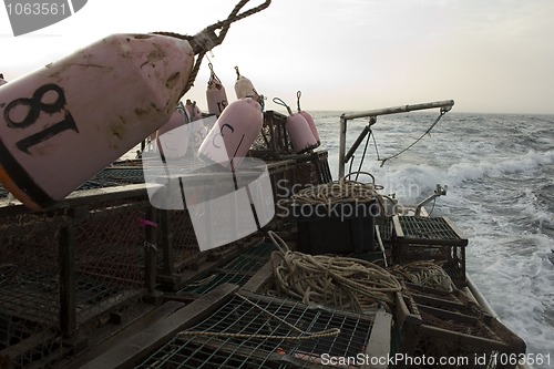 Image of lobster Equipment