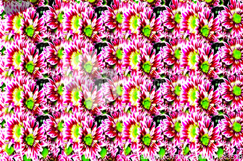 Image of floral background