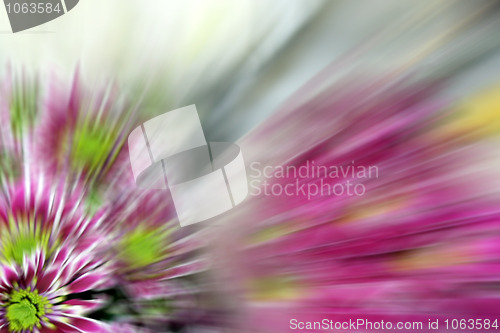 Image of floral background