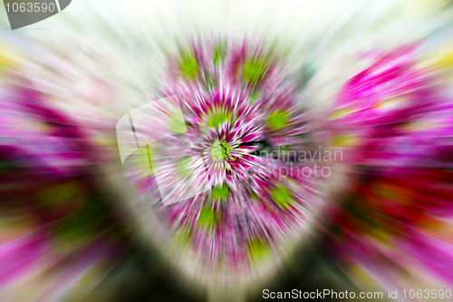 Image of floral background