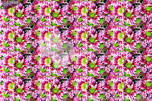 Image of floral background