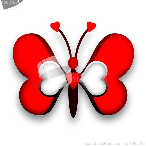 Image of Butterfly