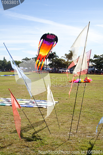 Image of Giant Kite