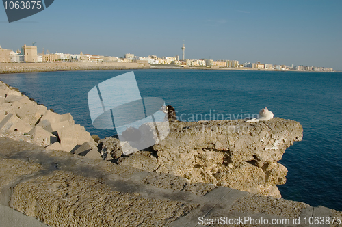 Image of Cadiz (Spain) view