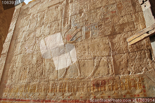 Image of Temple of Hatshepsut