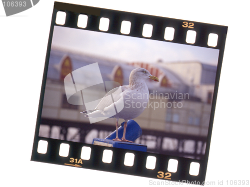Image of Slide