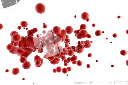 Image of blood red corpuscles