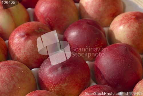 Image of Freshly picked nectarines