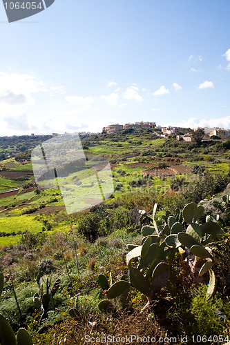 Image of Landscape in Gozo Island, Malta